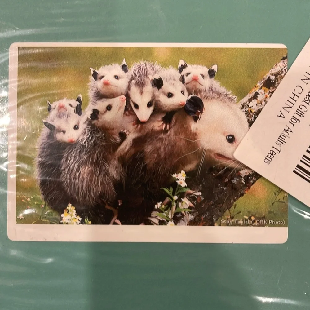 Opossum Family Animal Puzzle- Wooden Puzzles 1000 pieces